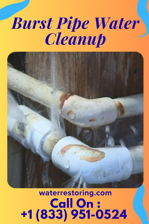 Burst Pipe Water Cleanup in Cumminsville, NY