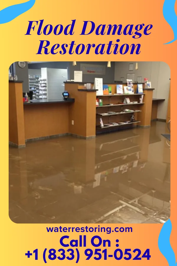 Flood Damage Restoration in Cumminsville, NY