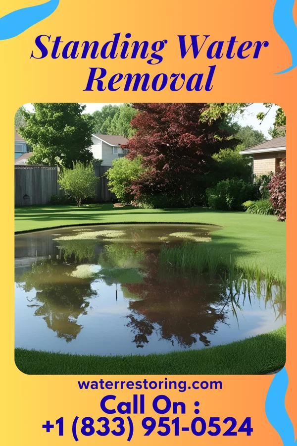 Standing Water Removal in Cumminsville, NY